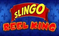 Slingo Reel King UK Online Casino