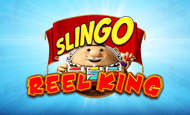 Slingo Reel King UK Online Casino